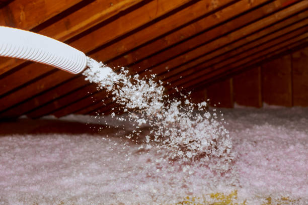Best Insulation Maintenance and Repair in Dunlap, IL
