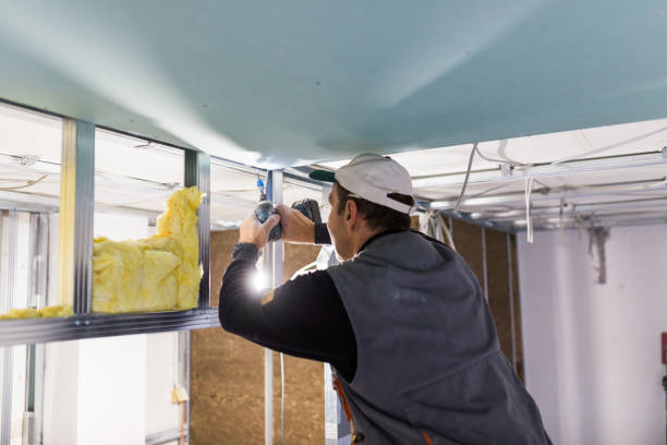 Best Types of Insulation in Dunlap, IL