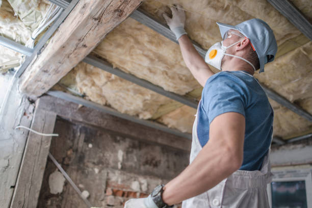 Best Types of Insulation in Dunlap, IL